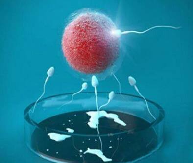 供卵代怀生子代生生男孩